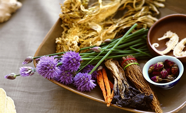 Cancer and traditional medicine: integrative pathways for holistic oncology care